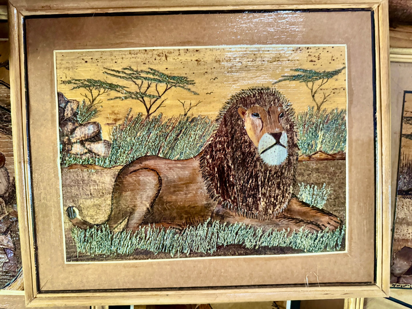 Framed African Lion Painting